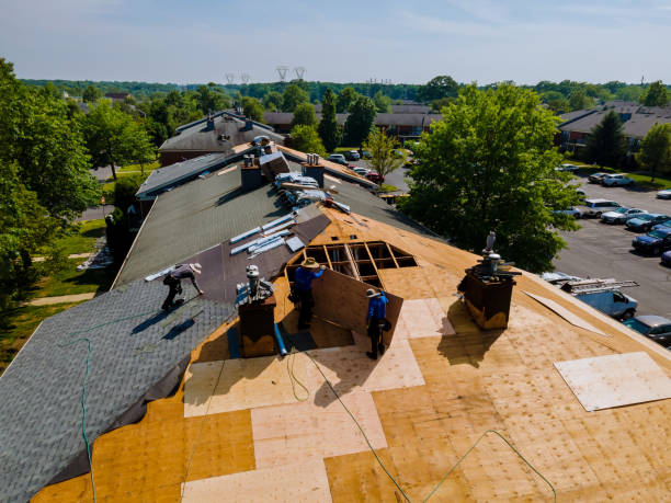 24/7 Emergency Flat Roof Repair experts in Littleton, IL